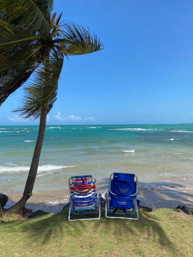 Blue Leaf By The Sea Apartman Luquillo Kültér fotó